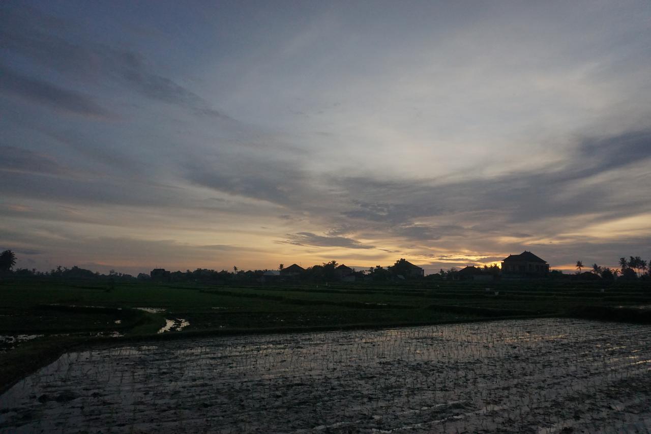 Pondok Uma Ubud Exterior foto